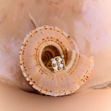Load image into Gallery viewer, Sophie d'Agon, bague en or jaune 18 carats, Selene, nacre, diamants bruns, diamants blancs dans un coquillage