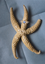 Load image into Gallery viewer, Ginger Bague 2 Bleue, or jaune, saphir bleu, diamant salt and pepper, nature-m